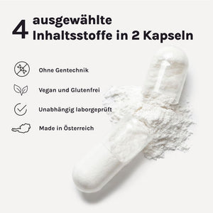 DAILY ESSENTIAL – Produktgrafik zu Formel und Inhaltsstoffen
