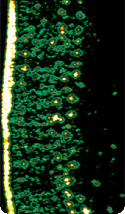 Auszug aus einer wissenschaftlichen Studie zu Kollagenpeptiden