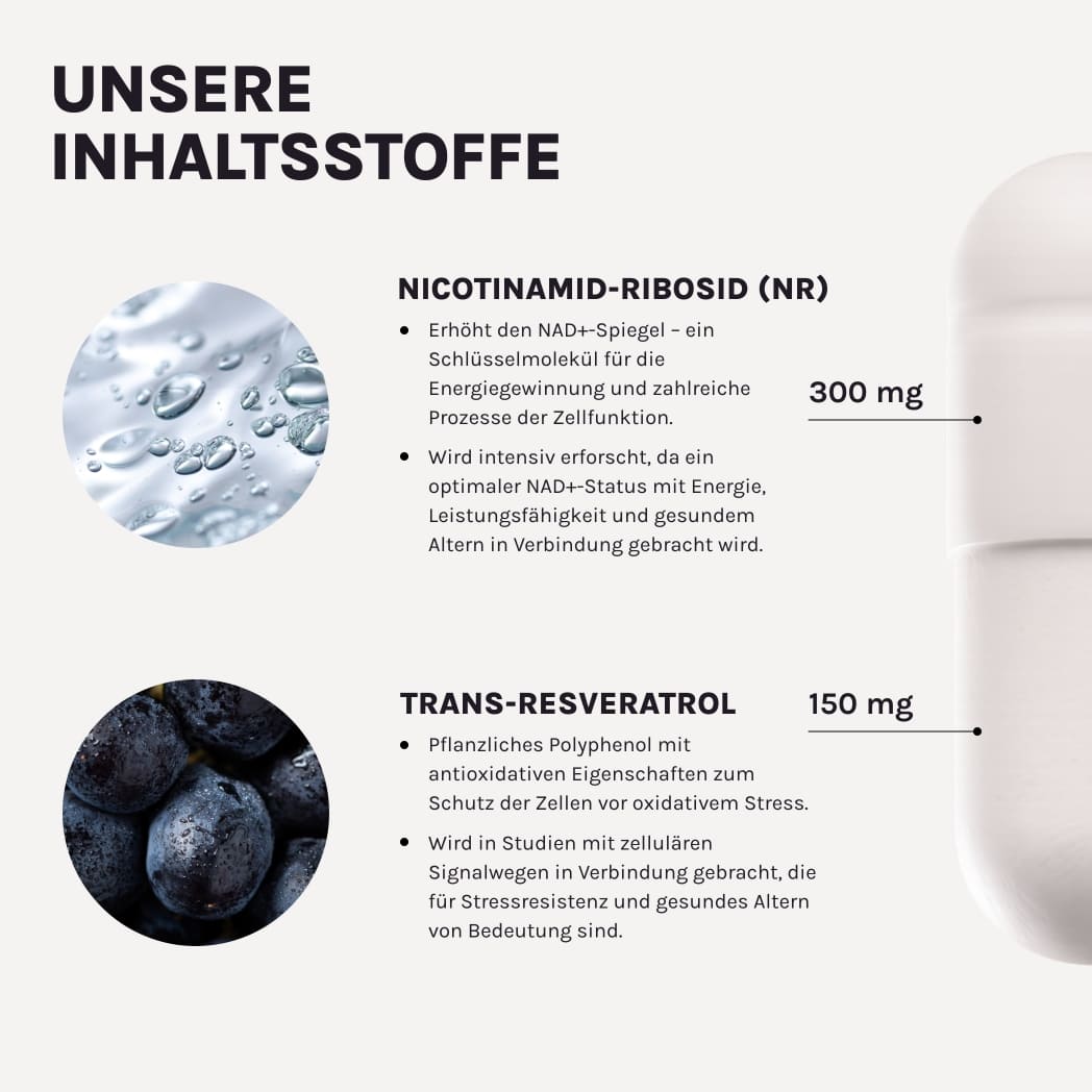 DAILY ESSENTIAL – Produktgrafik mit Anwendungshinweisen