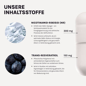 DAILY ESSENTIAL – Produktgrafik mit Anwendungshinweisen