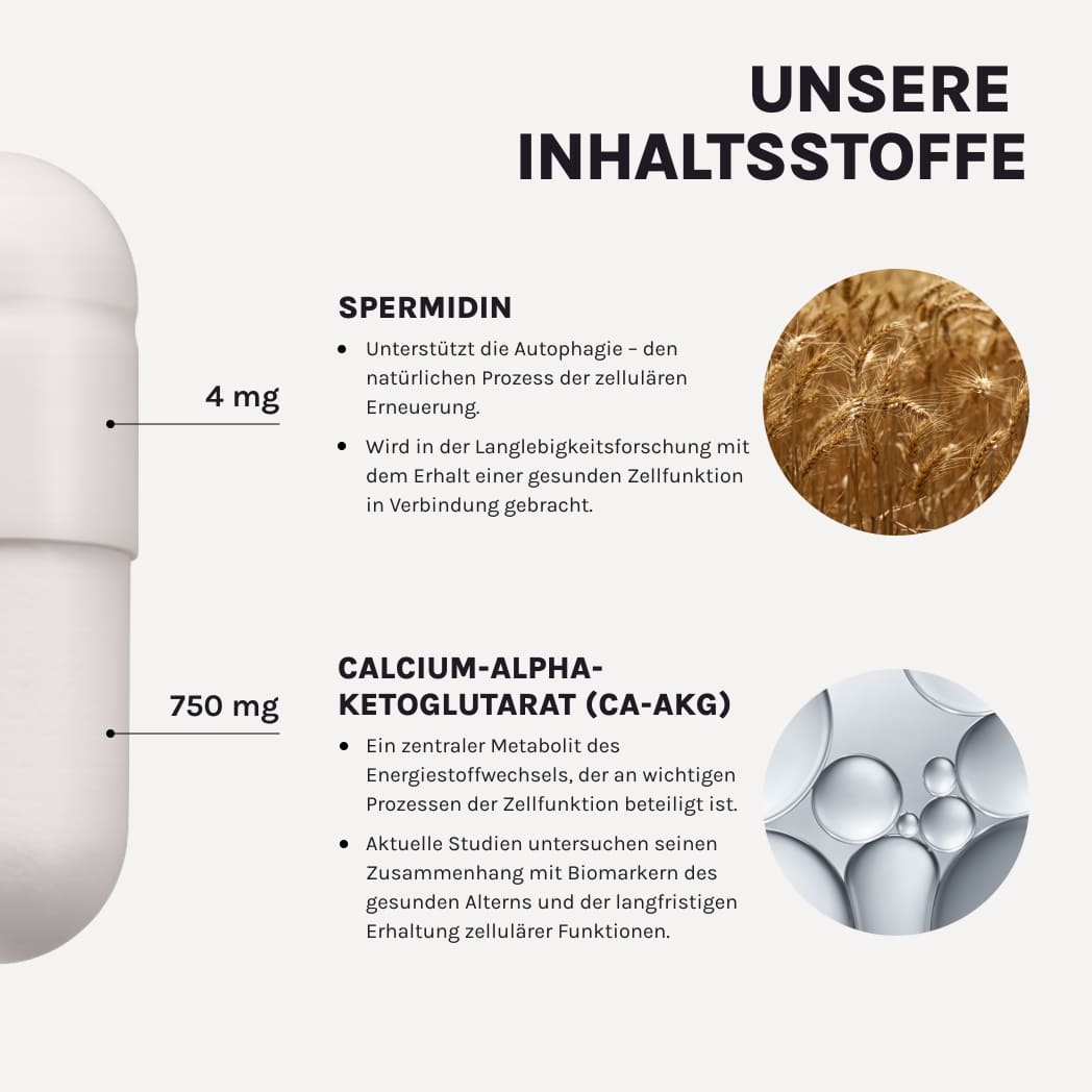 DAILY ESSENTIAL – Produktgrafik mit Qualitätsmerkmalen
