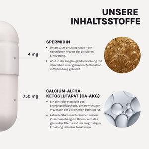 DAILY ESSENTIAL – Produktgrafik mit Qualitätsmerkmalen