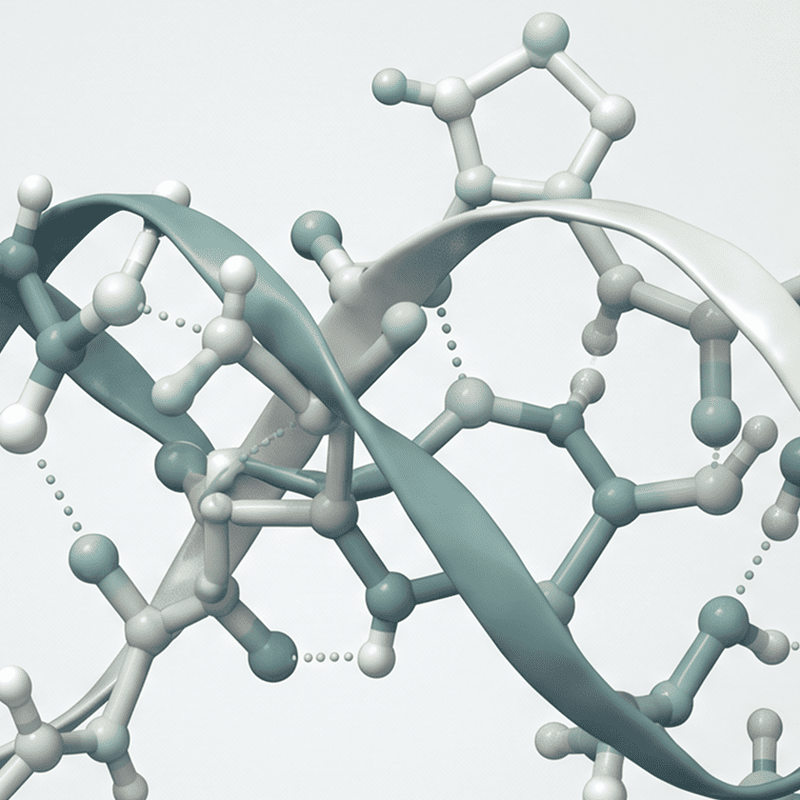 Molekulare Struktur von Kollagenpeptiden